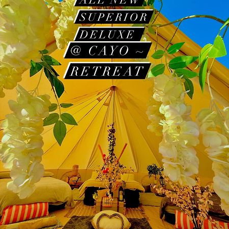 Cayoretreat Luxury Bell Tent Clodock Zewnętrze zdjęcie